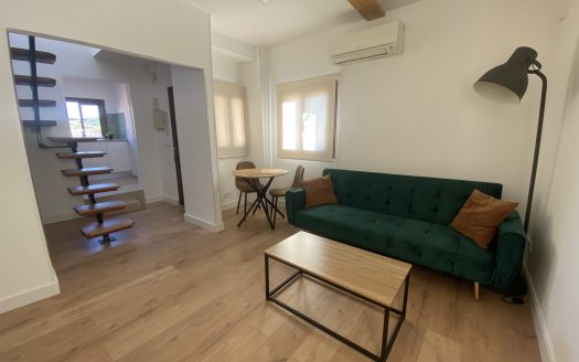 Duplex en Toledo Capital.